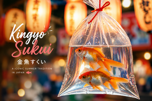 What Is Kingyo Sukui (金魚すくい)? Japan's Beloved Goldfish Scooping Game
