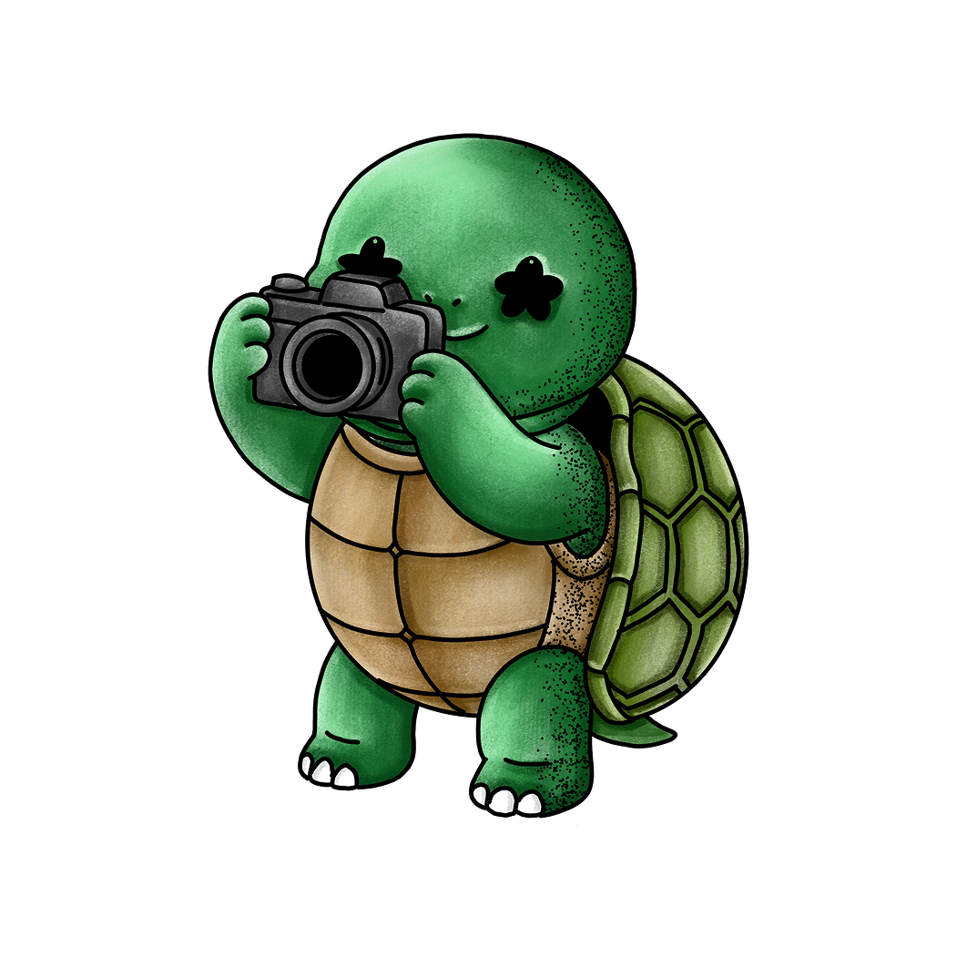 Click Turtle
