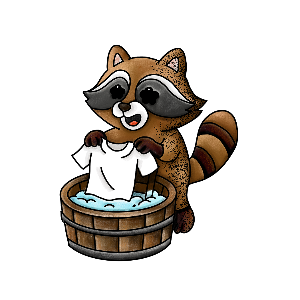 Washy Raccoon
